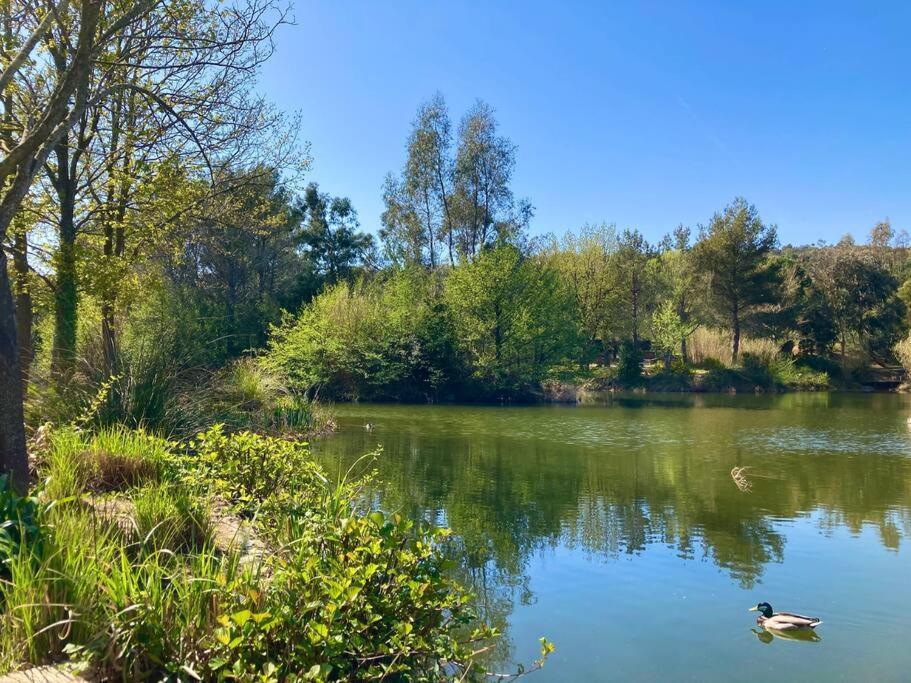 Les Restanques Bougainvillee 2051 غريمو المظهر الخارجي الصورة